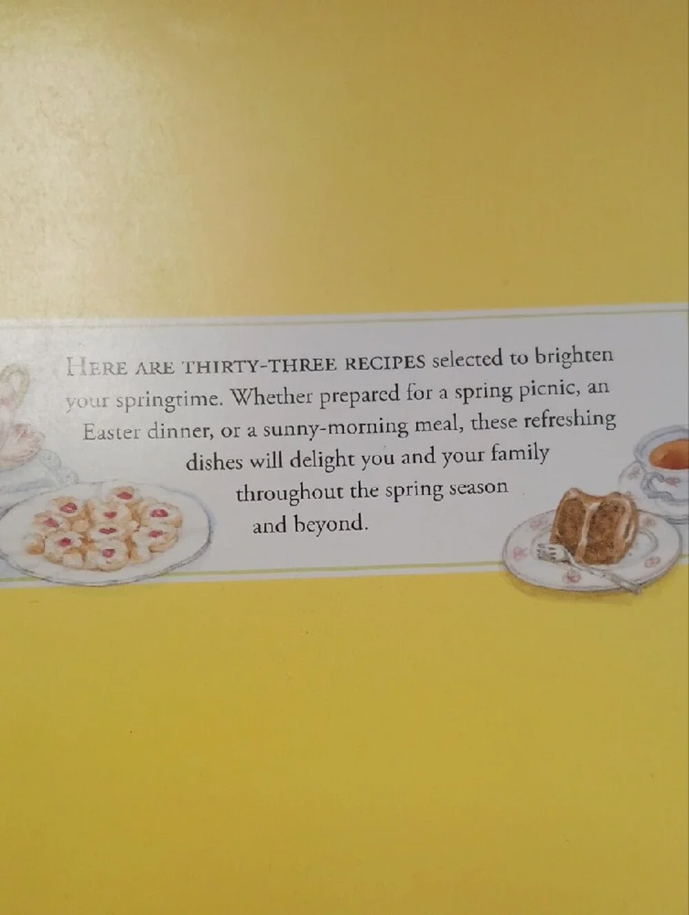 Springtime & Christmas Cookies Recipes Cookbook - 2 Books